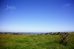 green grass, blue sky, Mataura Valley